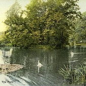 RP Lake & Island Lillies c. 1905